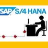 Debugging SAP S/4 HANA Technologies For Non Programmer | Office Productivity Sap Online Course by Udemy