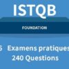 ISTQB Syllabus Niveau Fondation - 6 EXAMENS - Franais | It & Software It Certification Online Course by Udemy