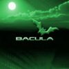 Bacula 1: ferramenta livre de backup | It & Software Network & Security Online Course by Udemy