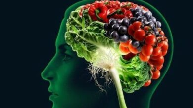 Build A Better Brain | Health & Fitness Mental Health Online Course by Udemy