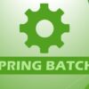 Spring Batch par la pratique | Development Programming Languages Online Course by Udemy