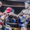 Muay Thai Basics Videocourse | Health & Fitness Self Defense Online Course by Udemy