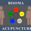 Bisoma Acupuncture | Health & Fitness General Health Online Course by Udemy