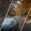 Lightroom - Couleur d'automne et Colorimtrie | Photography & Video Digital Photography Online Course by Udemy