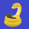 Python 3: | Development Programming Languages Online Course by Udemy
