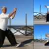 Dao Tai Chi - Fei Shou | Health & Fitness General Health Online Course by Udemy