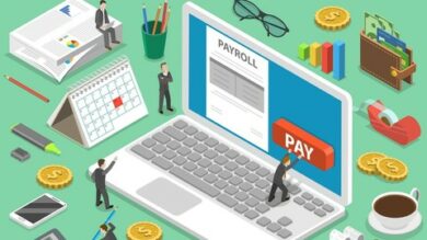 Payroll in a SAP Environment for Business Users | Business Operations Online Course by Udemy