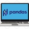 The Ultimate Pandas Bootcamp: Advanced Python Data Analysis | It & Software Other It & Software Online Course by Udemy