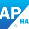 SAP BASIS/HANA Netweaver 7.5 certification preparation test | It & Software It Certification Online Course by Udemy