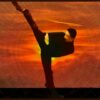 Curso intensivo de kung fu y calistenia | Health & Fitness Self Defense Online Course by Udemy