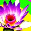 Beginner Meditation - Spiritual Awakening - Mindfulness | Health & Fitness Meditation Online Course by Udemy