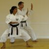 Get My Black Belt: Wado Ryu Karate (Part 1) | Health & Fitness Self Defense Online Course by Udemy