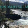 Martial Arts Fundamentals of Striking | Health & Fitness Self Defense Online Course by Udemy