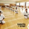 Karate Jutsu Level 1 Certificate Course | Health & Fitness Self Defense Online Course by Udemy