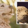 Escultura em argila - aprenda a modelar animais realistas! | Lifestyle Arts & Crafts Online Course by Udemy