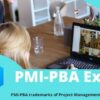 PMI Professional in Business Analysis Exam Simulator | Business Project Management Online Course by Udemy