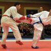 Sport Karate