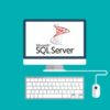 Microsoft SQL for Beginners (SQL Server and T-SQL) | Development Database Design & Development Online Course by Udemy