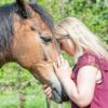 Energy Healing for Horses | Lifestyle Esoteric Practices Online Course by Udemy