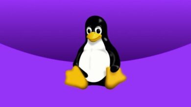 Linux Fondamentaux et Scripting Shell | It & Software Operating Systems Online Course by Udemy