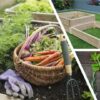 5 Easy-to-grow vegetables & herbs plus vegetable planter | Lifestyle Food & Beverage Online Course by Udemy