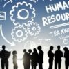 So You Want to Work in Human Resources | Business Human Resources Online Course by Udemy