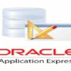 Hand's-on Guide to Learn Oracle Application Express (APEX) | It & Software Other It & Software Online Course by Udemy