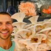 Growing Mushrooms Indoors for Business and Pleasure | Lifestyle Food & Beverage Online Course by Udemy