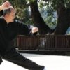 Yang Tai Chi 108 Form Parts 2 and 3 with Master Yang (YMAA) | Health & Fitness Self Defense Online Course by Udemy