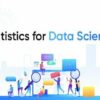 Statistics Primer for Data Scientist's | It & Software Other It & Software Online Course by Udemy