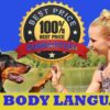Dog body language. How To Read Your Dog's Body Language | Lifestyle Pet Care & Training Online Course by Udemy