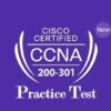 200-301 Cisco CCNA Practice Exam [ 2020 ] | It & Software It Certification Online Course by Udemy