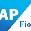 SAP Fiori Tcnico - Funcional en Espaol | It & Software Other It & Software Online Course by Udemy