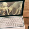 Seales de Calma: la clave del adiestramiento canino | Lifestyle Pet Care & Training Online Course by Udemy