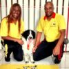 Dog Walking - Dog Training Pet care | Lifestyle Pet Care & Training Online Course by Udemy