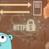How to develop a productive HTTP client in Golang (Go) | Development Programming Languages Online Course by Udemy
