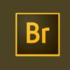 Adobe Bridge para fotgrafos e filmmakers | Photography & Video Photography Tools Online Course by Udemy