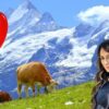 Switzerland - All you need to know | Lifestyle Travel Online Course by Udemy