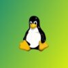 Curso Essencial de Linux e Shell Linux | It & Software Operating Systems Online Course by Udemy