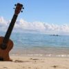 Aprenda Ukulele | Music Instruments Online Course by Udemy