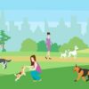 priuchenieshenkakchistoplotnosti | Lifestyle Pet Care & Training Online Course by Udemy