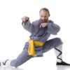 Curso de Kung-Fu Louva-a-deus 07 estrelas | Health & Fitness Sports Online Course by Udemy