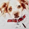 Beginning Watercolor: Painting a Dog | Lifestyle Arts & Crafts Online Course by Udemy