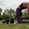 Un viaggio all'interno dello Yoga | Health & Fitness Yoga Online Course by Udemy