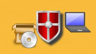 Reverse Engineering 4: Software Protection | It & Software Network & Security Online Course by Udemy