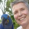 Aggression und Beien bei Papageien und Sittichen | Lifestyle Pet Care & Training Online Course by Udemy