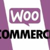 WooCommerce 2020: Build E-Commerce Wordpress Site in 1 Hour | Business E-Commerce Online Course by Udemy