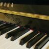 The Pianolady Beginner Piano Course | Music Other Music Online Course by Udemy