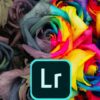 Adobe Lightroom CC 2020: Basic to Advanced Pictures Editing | Photography & Video Photography Tools Online Course by Udemy