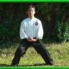ESTJQB - TaiJiQuan/TaiChiChuan estilo Chen LianHuan Nivel 1 | Health & Fitness General Health Online Course by Udemy